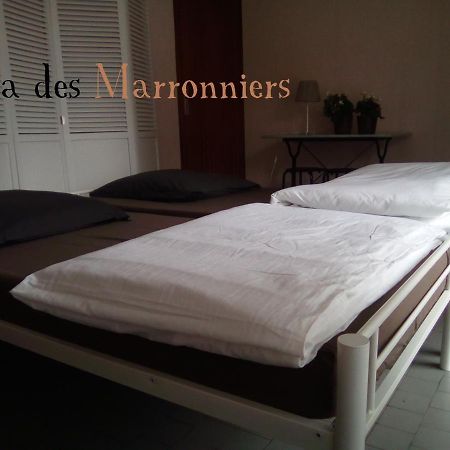 Villa Des Marronniers Mirande  Bagian luar foto